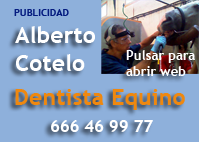 Descargar contenido en formato PDF