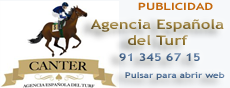 Pulsar para abrir web